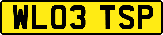 WL03TSP