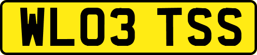 WL03TSS