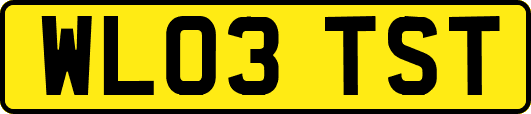 WL03TST