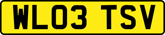 WL03TSV