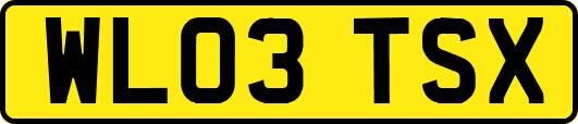 WL03TSX