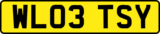 WL03TSY