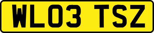 WL03TSZ