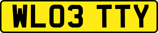 WL03TTY