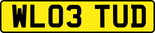 WL03TUD