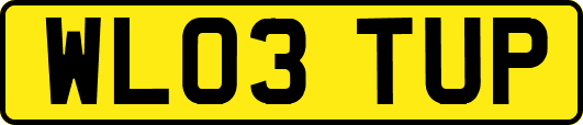 WL03TUP