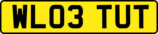 WL03TUT