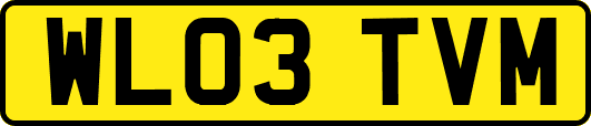 WL03TVM