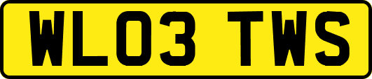 WL03TWS
