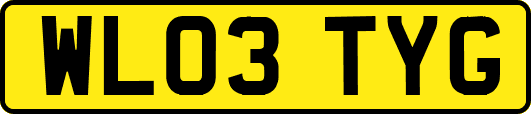 WL03TYG