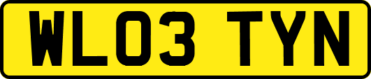 WL03TYN