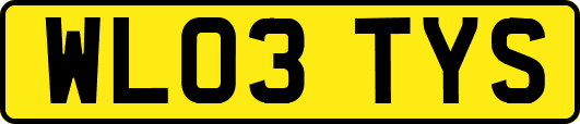 WL03TYS