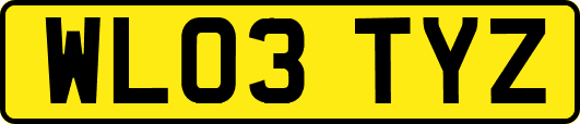 WL03TYZ