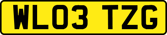 WL03TZG