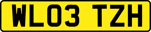 WL03TZH