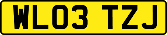 WL03TZJ