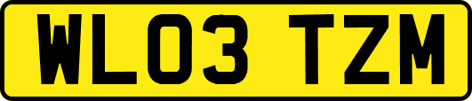 WL03TZM