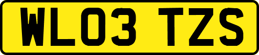 WL03TZS