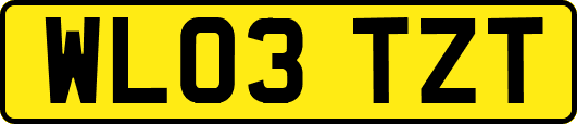 WL03TZT
