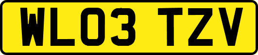 WL03TZV