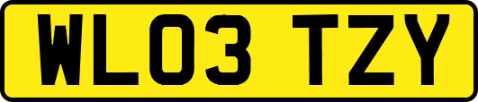 WL03TZY