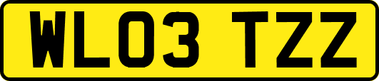 WL03TZZ