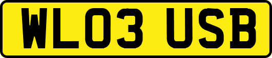 WL03USB