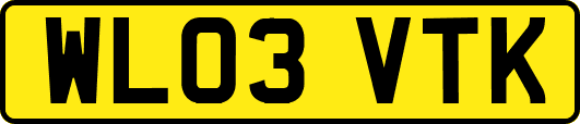 WL03VTK