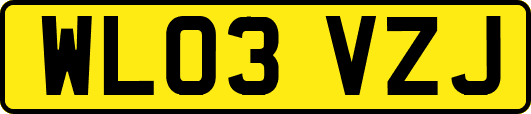 WL03VZJ