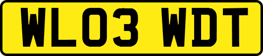 WL03WDT