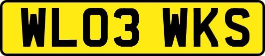 WL03WKS