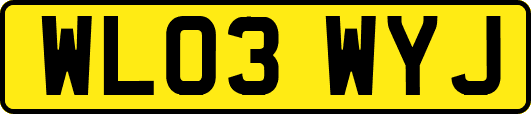 WL03WYJ