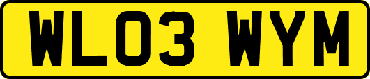 WL03WYM