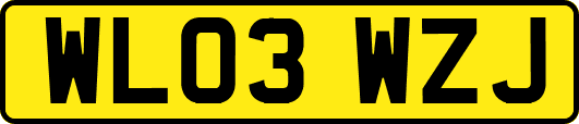 WL03WZJ