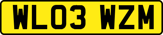 WL03WZM