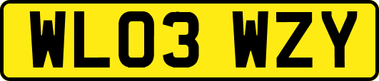 WL03WZY