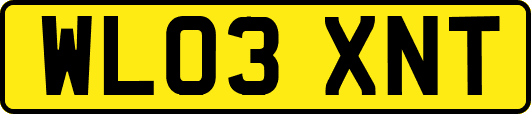 WL03XNT