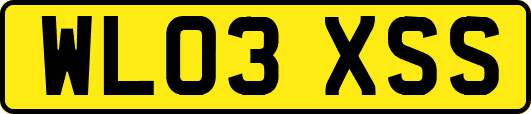 WL03XSS