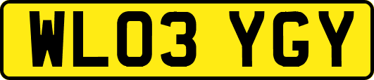 WL03YGY