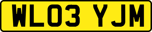 WL03YJM