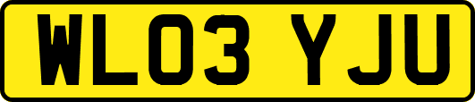 WL03YJU