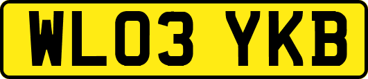 WL03YKB