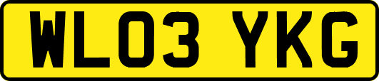 WL03YKG