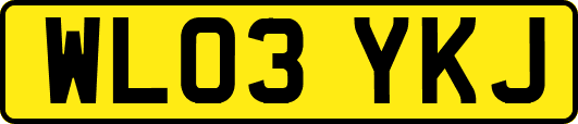 WL03YKJ