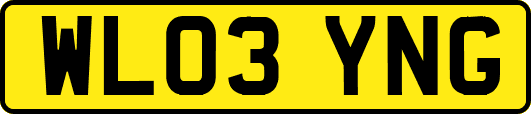 WL03YNG