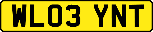 WL03YNT