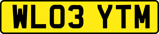 WL03YTM