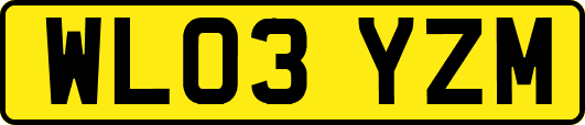 WL03YZM