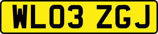 WL03ZGJ