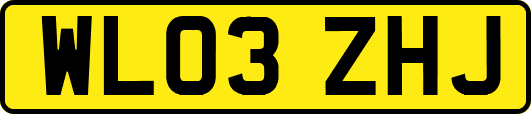 WL03ZHJ